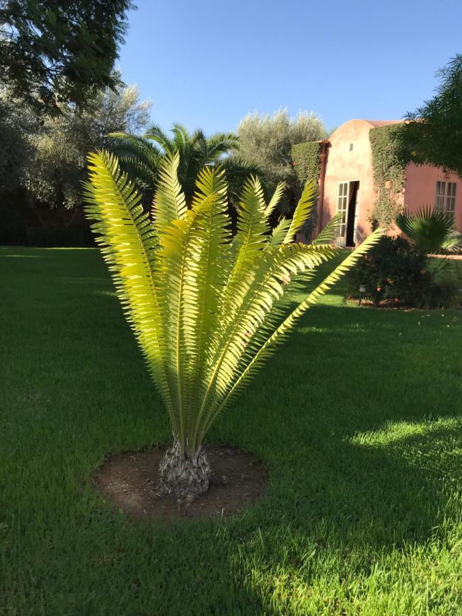 Villa #1 'Rosalie' مراكش المظهر الخارجي الصورة