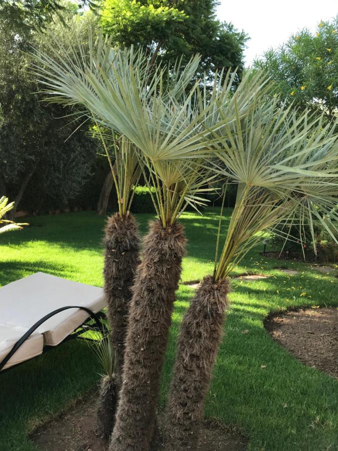 Villa #1 'Rosalie' مراكش المظهر الخارجي الصورة