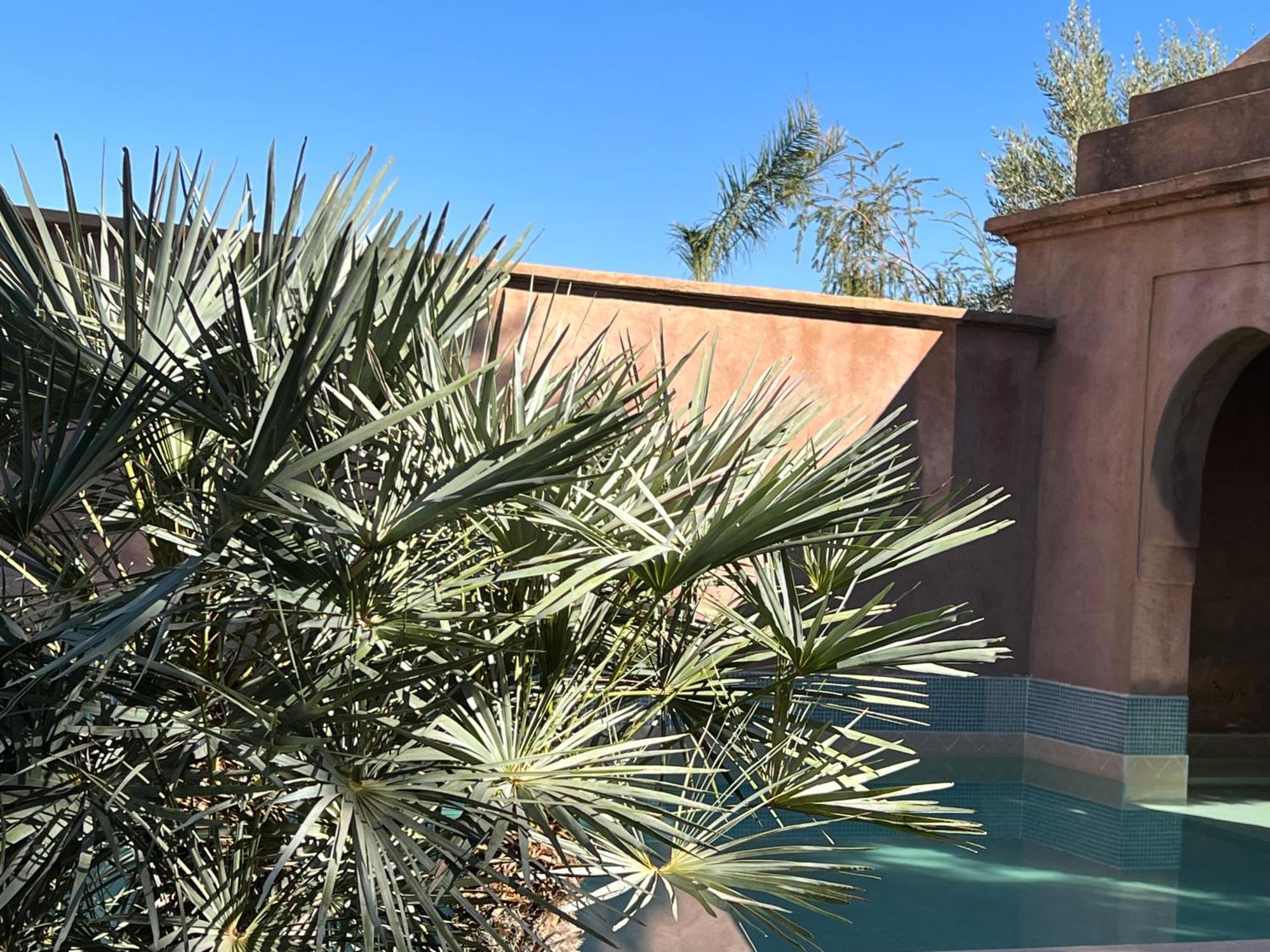 Villa #1 'Rosalie' مراكش المظهر الخارجي الصورة