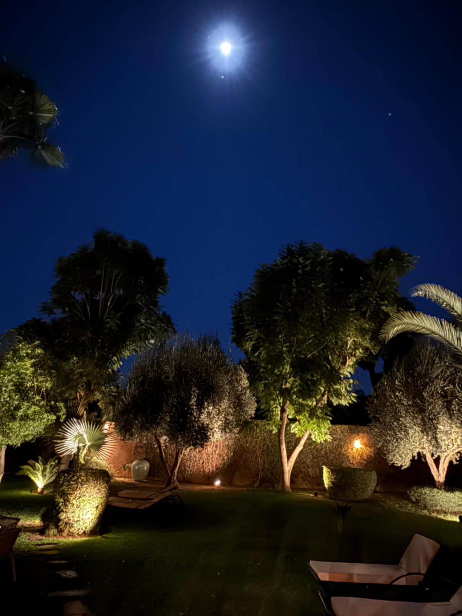 Villa #1 'Rosalie' مراكش المظهر الخارجي الصورة